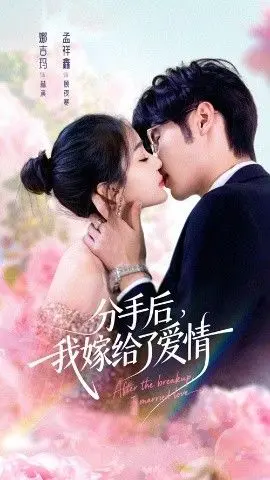 分手后我嫁给了爱情海报