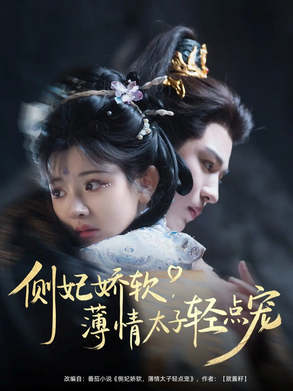 侧妃娇软薄情太子轻点宠