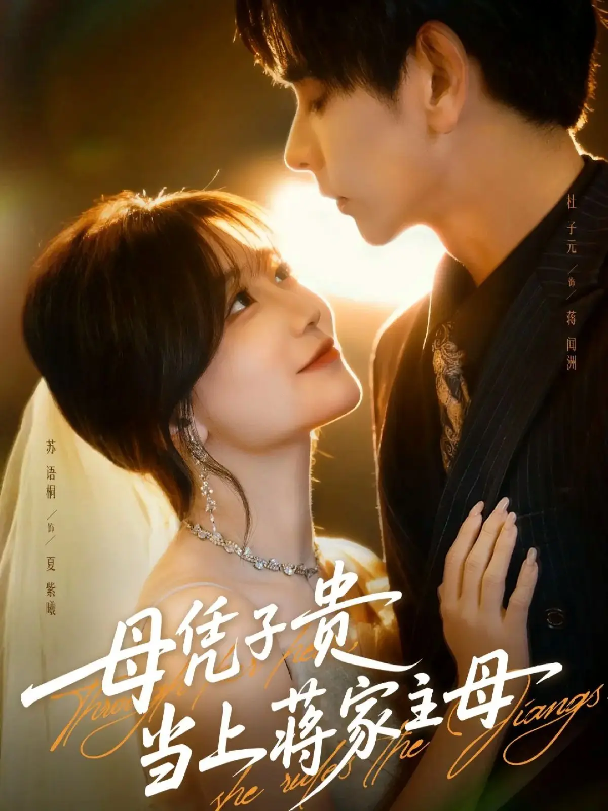 母凭子贵当上蒋家主母（怀孕后蒋少非要当我孩子爹）