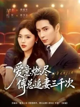 爱意燃尽，傅总追妻三千次