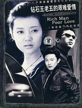钻石王老五的艰难爱情海报