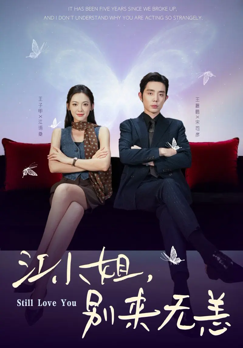 江小姐，别来无恙分手五年，宋先生别纠缠