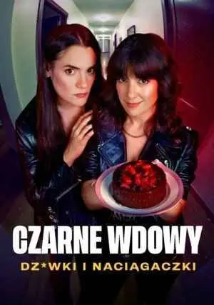 黑寡妇 风月陷阱