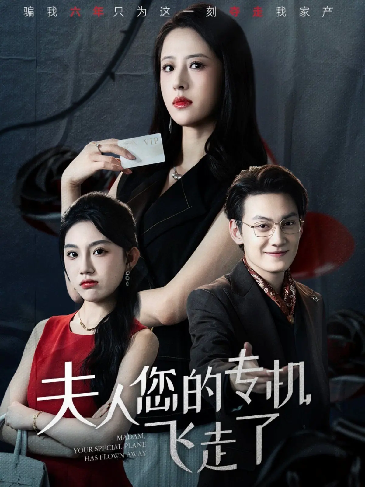 夫人您的专机飞走了