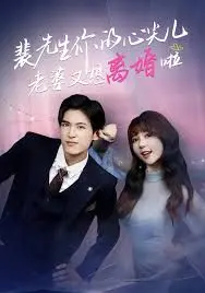 裴先生你的心尖儿老婆又想离婚啦，裴先生的复婚攻略