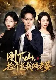 刚下山捡个总裁做老婆