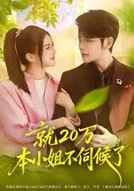 就20万！本小姐不伺候了