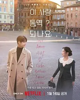 爱情怎么翻译海报